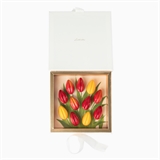 Тюльпаны 10799